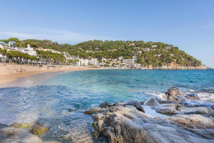 Canadell 2 - foto 37