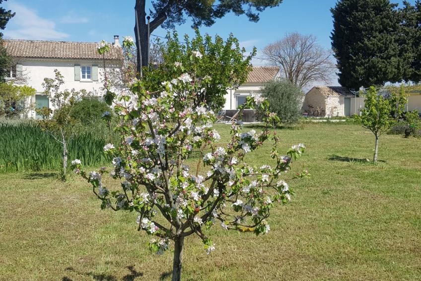 Charmantes Bauernhaus in der Provence - foto 28