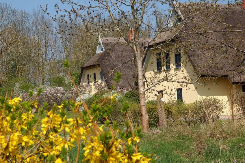 in idylischer Lage - foto 5