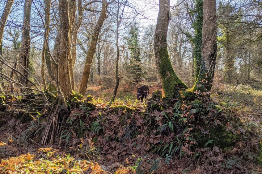 Helles, offenes Ferienhaus, Gemeinschaftspool Hunde - foto 35