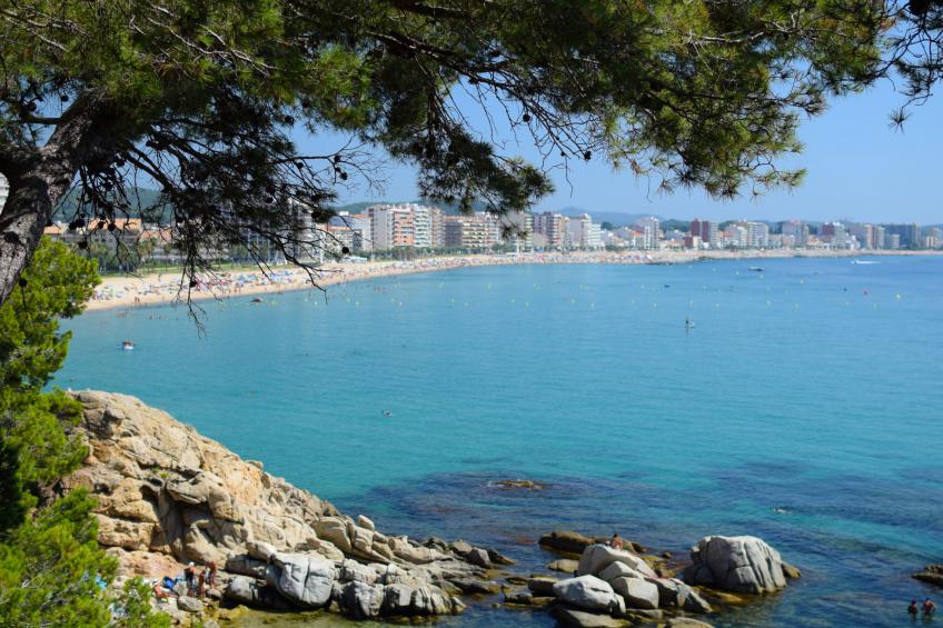 Les Suredes - foto 26