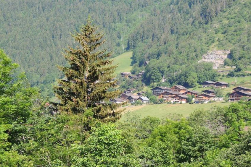 Residence Les Chalets d'Evian - foto 36