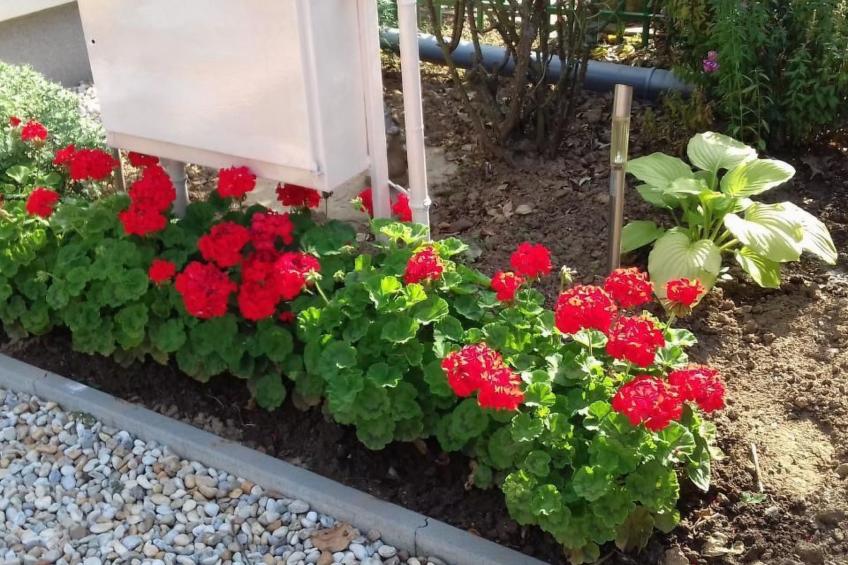 Klimatisiertes Ferienhaus in Bükfürdö mit Garten - foto 31