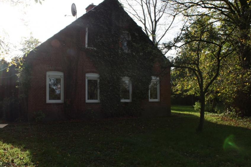 393477 - foto 2