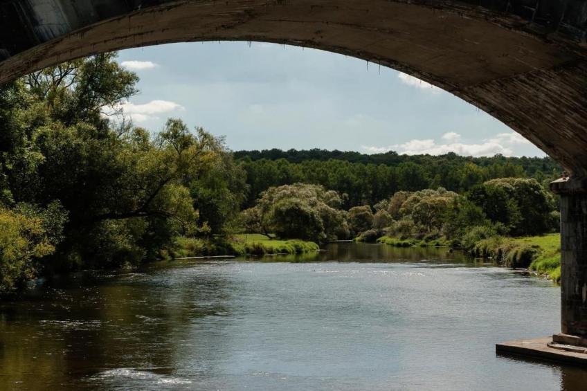 HORTENSIAS - foto 37