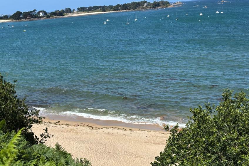 Apartment "Blue dream" in Strandnähe - foto 38