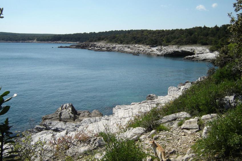 Gemütliches Appartment direkt am Strand - foto 21