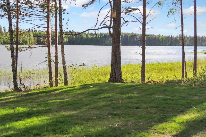 Joensuu, nesterin helmi - foto 27