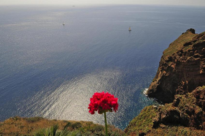 Villa, Caniço - foto 28