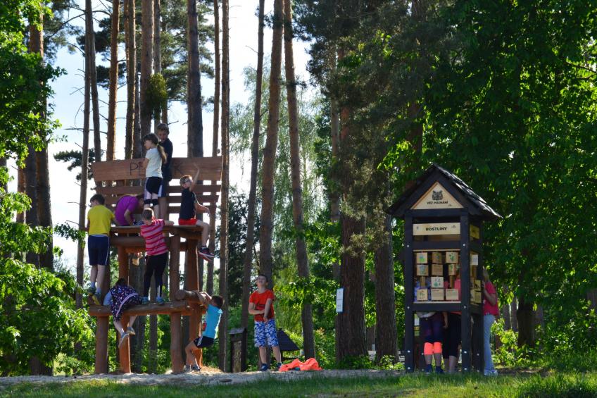 Kemp Stříbrný rybník - foto 25