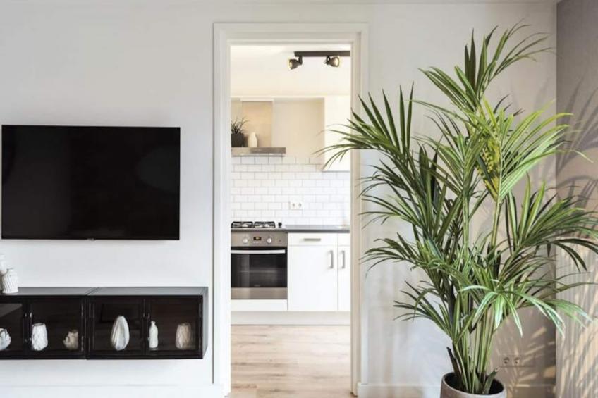 The Beach & Town Suite - foto 2