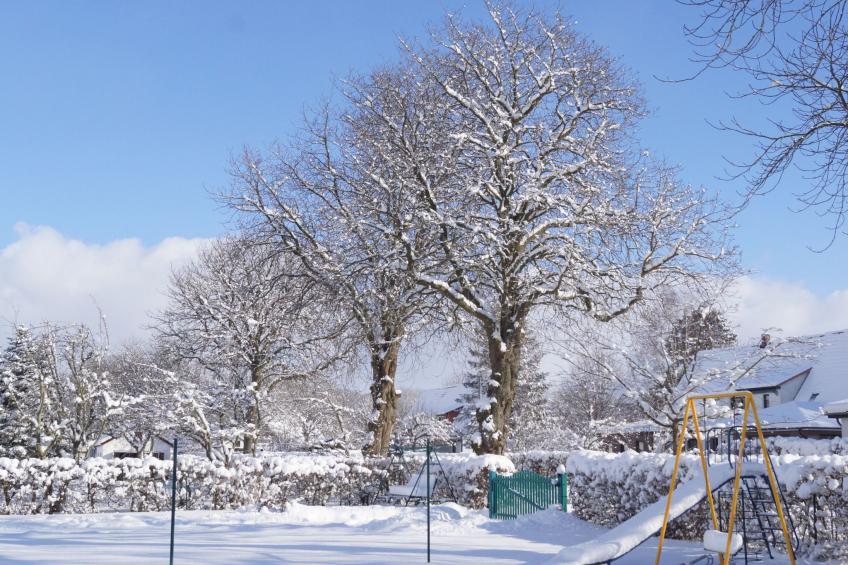 Schöne Wohnung bei Bergen auf Rügen - foto 5