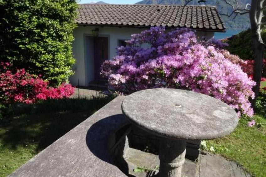 Öko-Haus P Pool Garten herrlicher Seeblick - foto 3