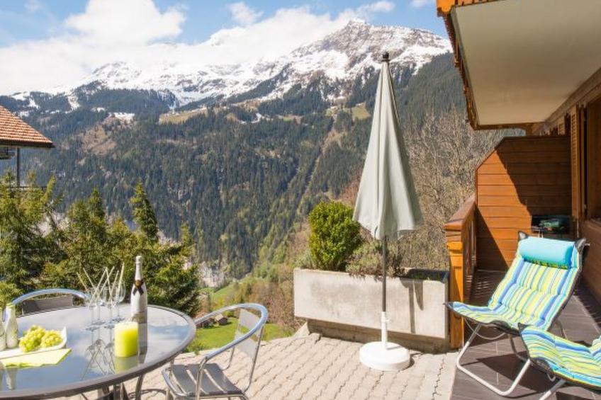 Chalet Panorama - foto 10