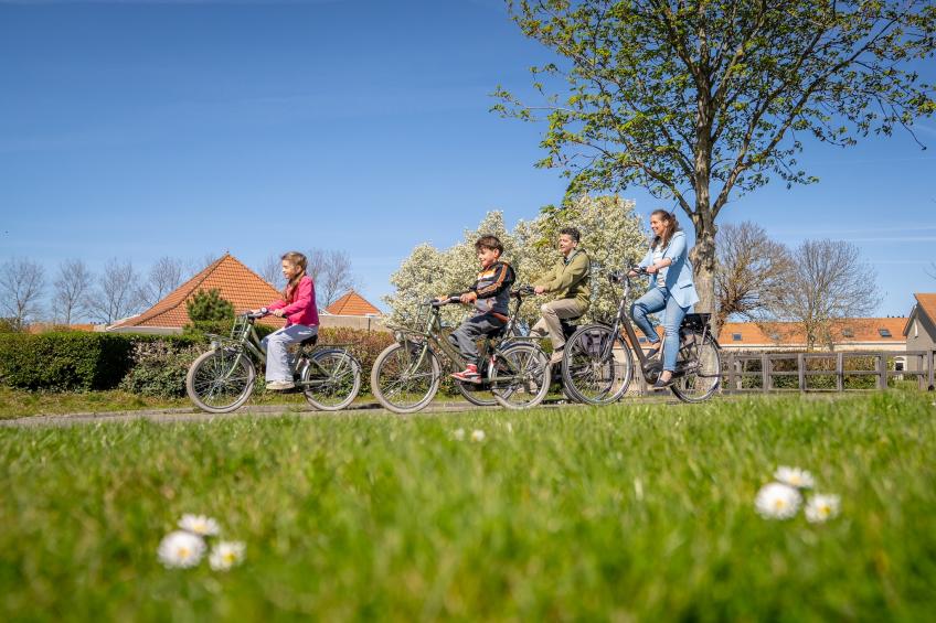 Vakantiepark de Soeten Haert 18 - foto 28