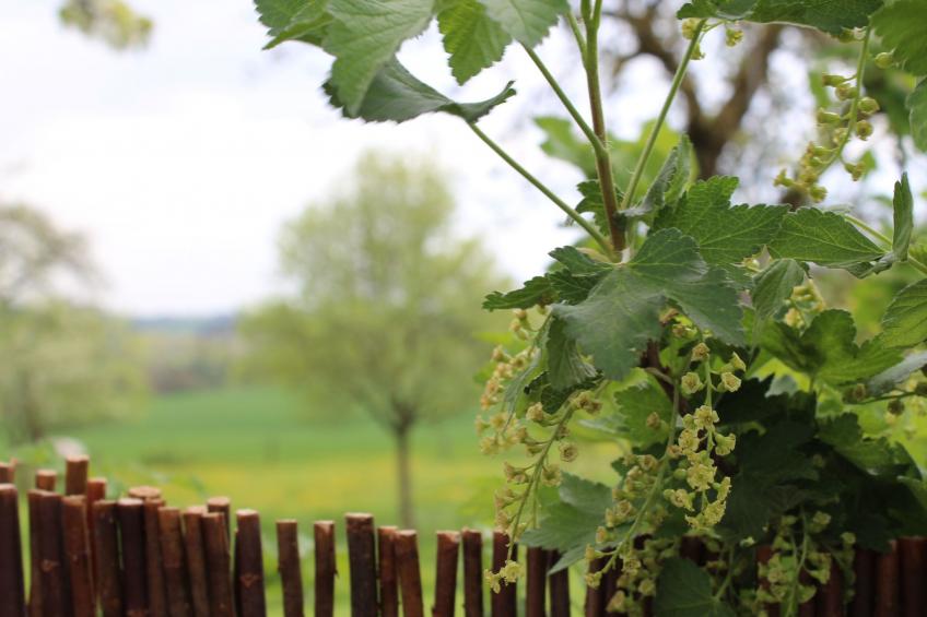 Fewo "Jut Stuff" - foto 39