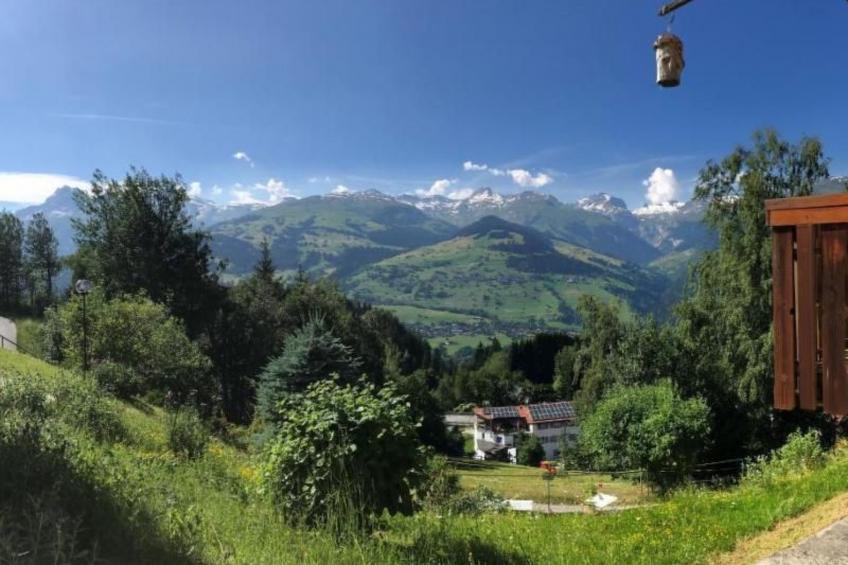 Studio Silberdistel - foto 14