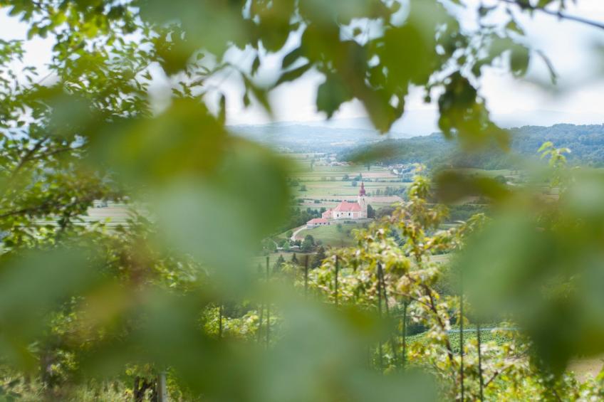 Sunny Two Bedroom Retreat in Beautiful Bizeljsko - Two Bedroom Country House - foto 26