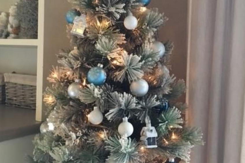 Polderwind mit Blick auf die Felder - foto 55