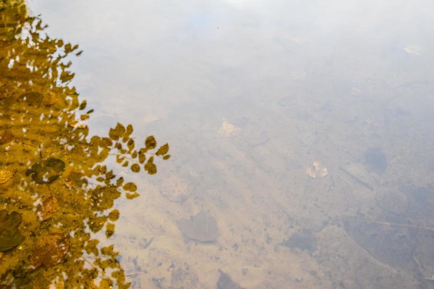 Mökki mikkola - foto 7