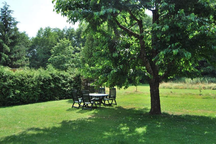 Fewo Stricker 33 - foto 27