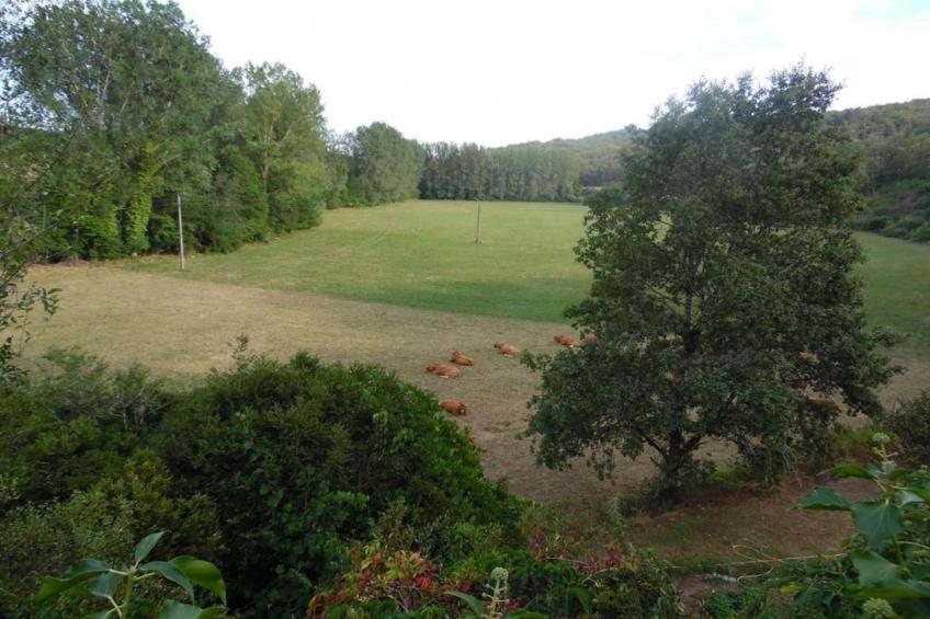 Le Pigeonnier - foto 25