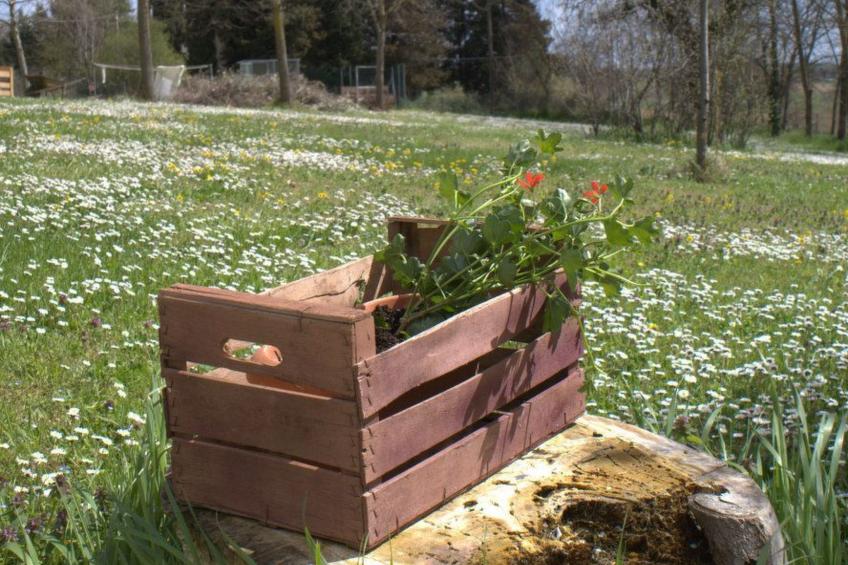 'Casa il Girasole' - foto 6