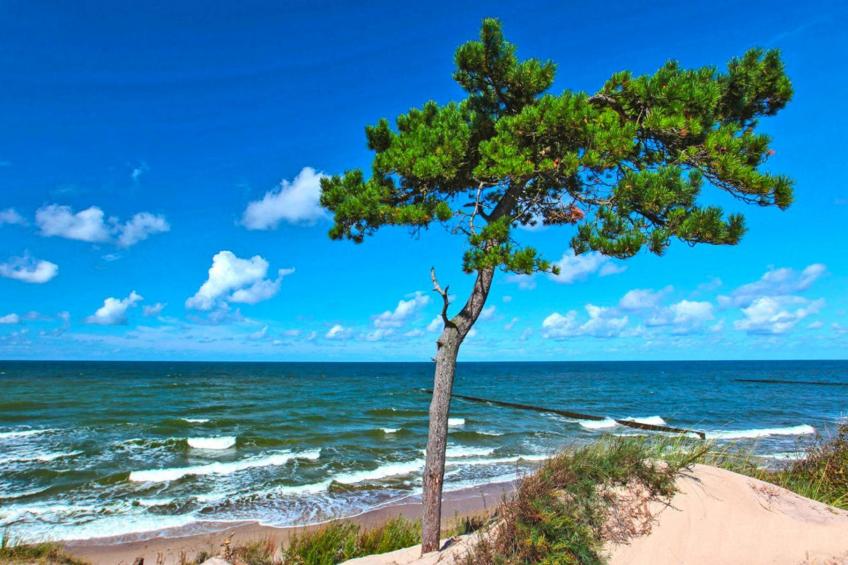 Vakantiepark, Wicie - foto 20
