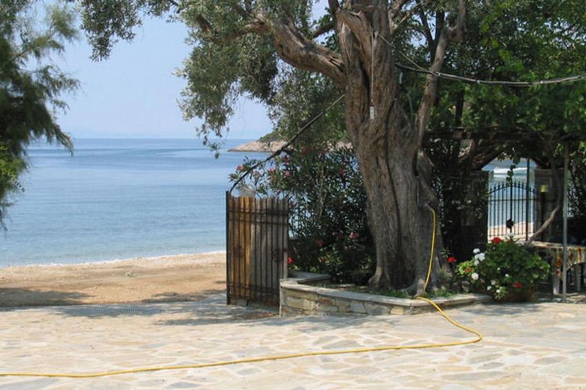 Niki Studios 3 - foto 22