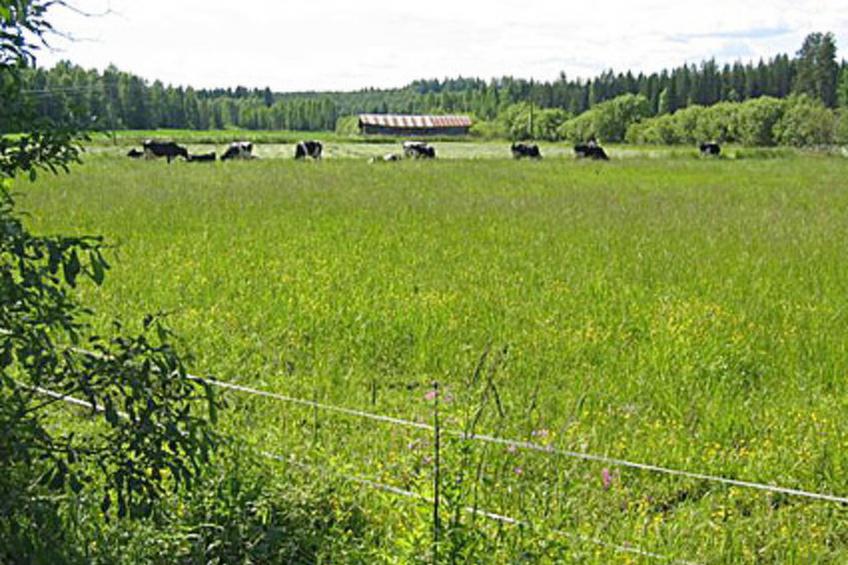 Pikkutupa - foto 15