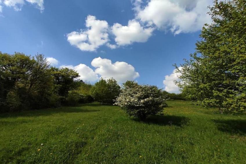 Resort Echternacherbrück 1 - foto 18