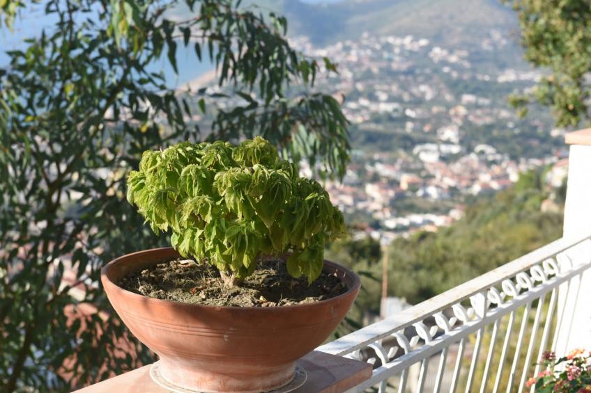 Villa Felice 3 - foto 3